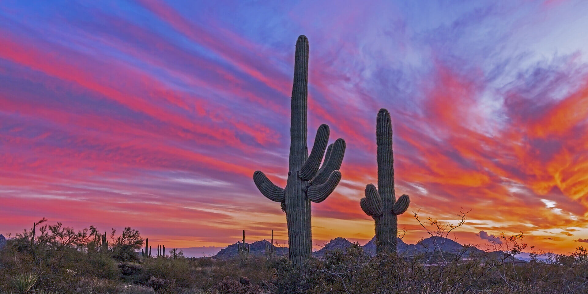 Super Vibrant  Arizona  Landscape Sunset With Cactus Near Phoenix &amp; Scottsdale,. XMAS day ,2019
